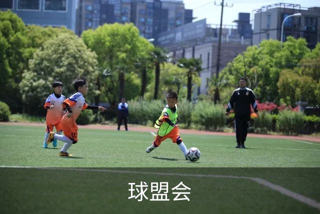 球盟会 公司简介